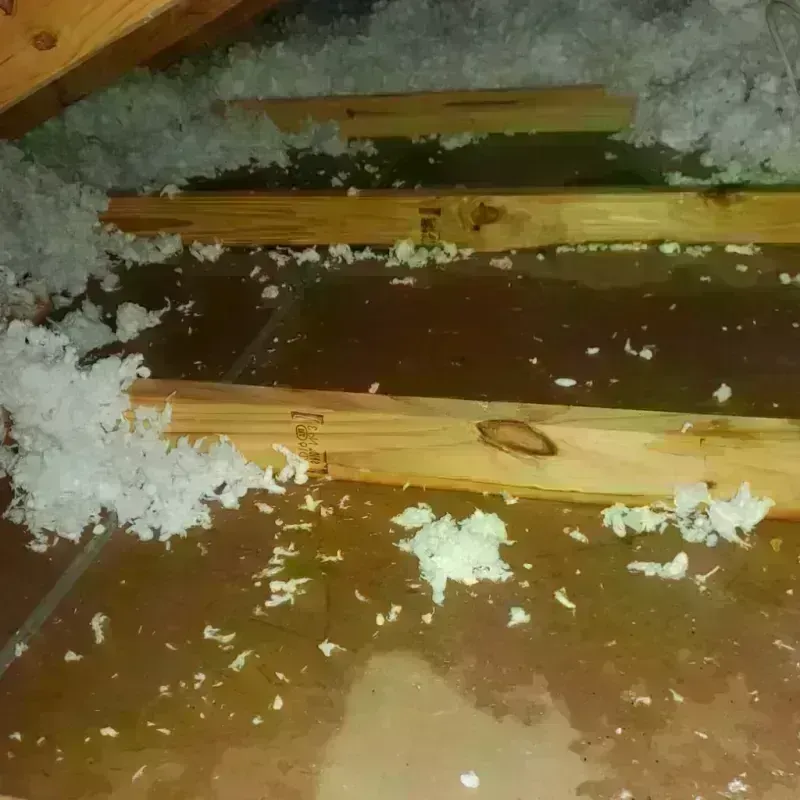 Attic Water Damage in Idaho Springs, CO