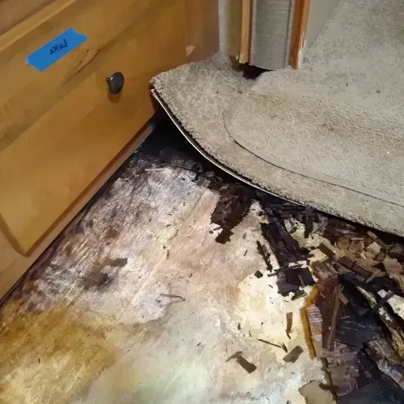 Best Wood Floor Water Damage Service in Idaho Springs, CO